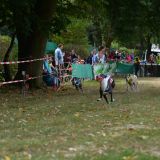 Silberpokal-Rennen 2016 in Bad Homburg