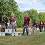 Silberpokal-Rennen 2016 in Bad Homburg