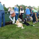 Hunde der unterschiedlichsten Rassen waren am Start