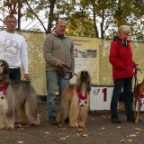 Landessieger-Wochenende 20./21. Oktober in Tüttleben