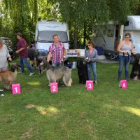 Clubsiegerrennen 2018