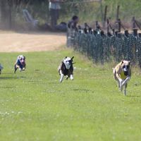 Clubsiegerrennen 2017