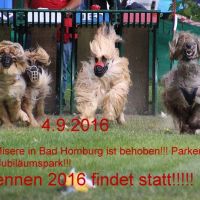 Rennen in Bad Homburg findet statt
