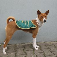 Grasbahnmeisterschaft Oberhausen