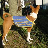 Internationalen Rennen in Hünstetten