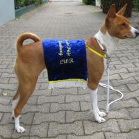 Grote Prijs van Limburg