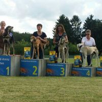 Internationales Windhund Rennen in Hünstetten