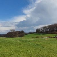 Coursing Odenwald