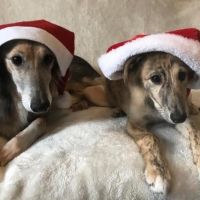 Weihnachten Weihnachten